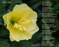 Only You Uplifting Poem